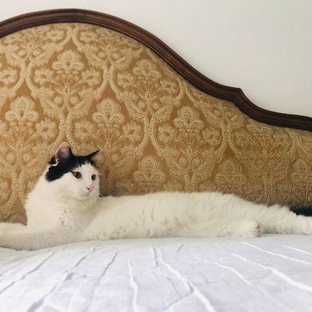 B&B Haus Senter Trambileno Екстер'єр фото
